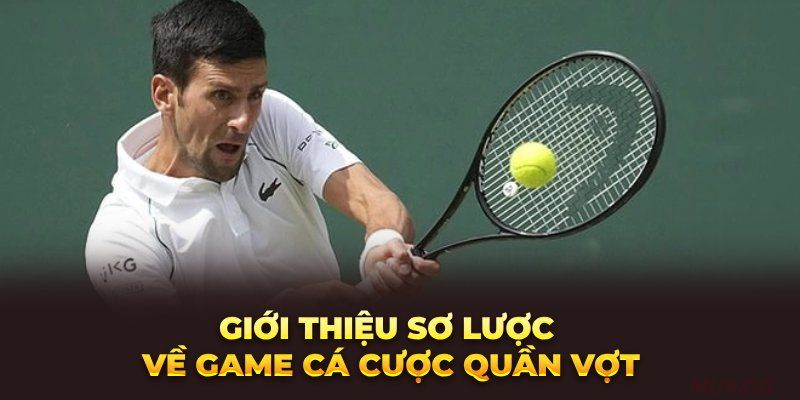 Sơ lược về hình thức cá cược quần vợt ku3933